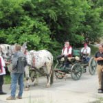 Festzug mit Pferdekutsche (1000 Jahrfeier)